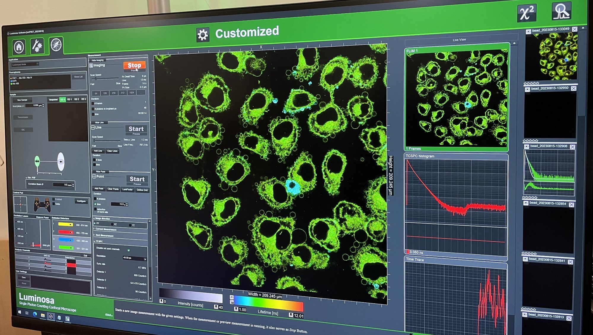 Example of Fluorescence Lifetime Imaging Microscopy (FLIM) data on cells using Luminosa. 