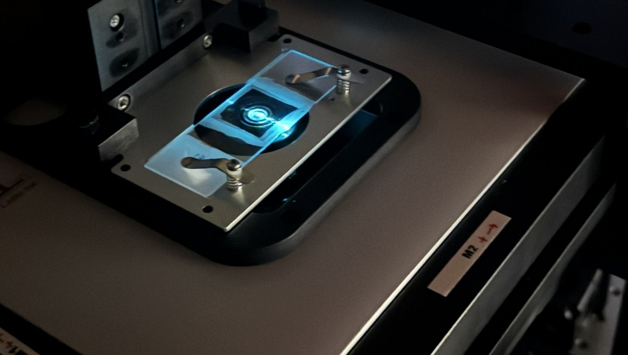 Example of MicroMirror TIRF using 488 nm excitation