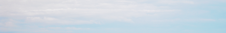 Dannelse af atmosfæriske organiske aerosoler over et skovområde.