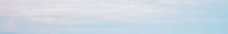 [Translate to English:] Dannelse af atmosfæriske organiske aerosoler over et skovområde.