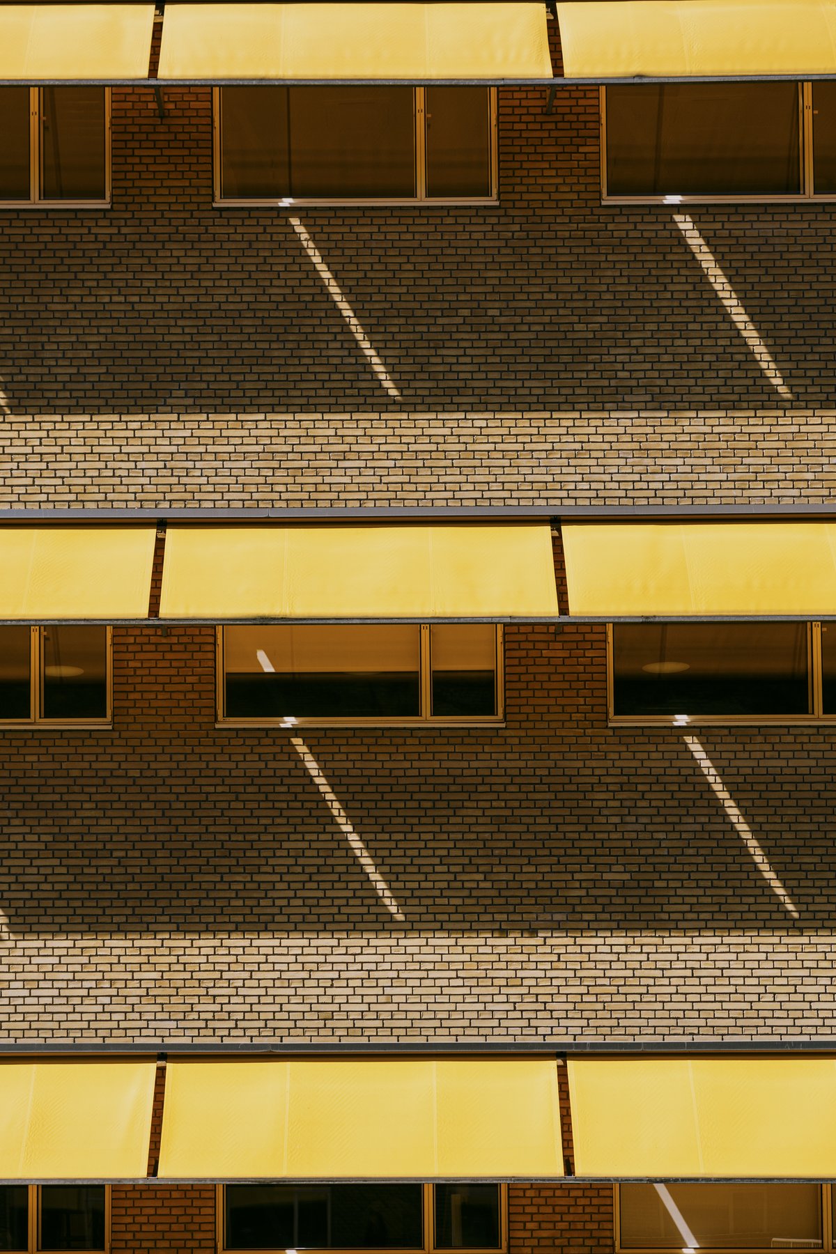 Yellow blinds on AU building.