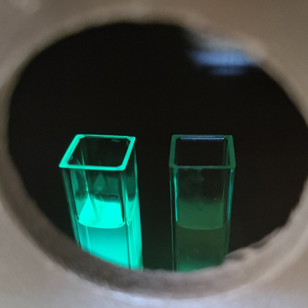 Billede af to væsker, som ses gennem et hul i en kasse. Den ene væske lyser op pga. luminescens.