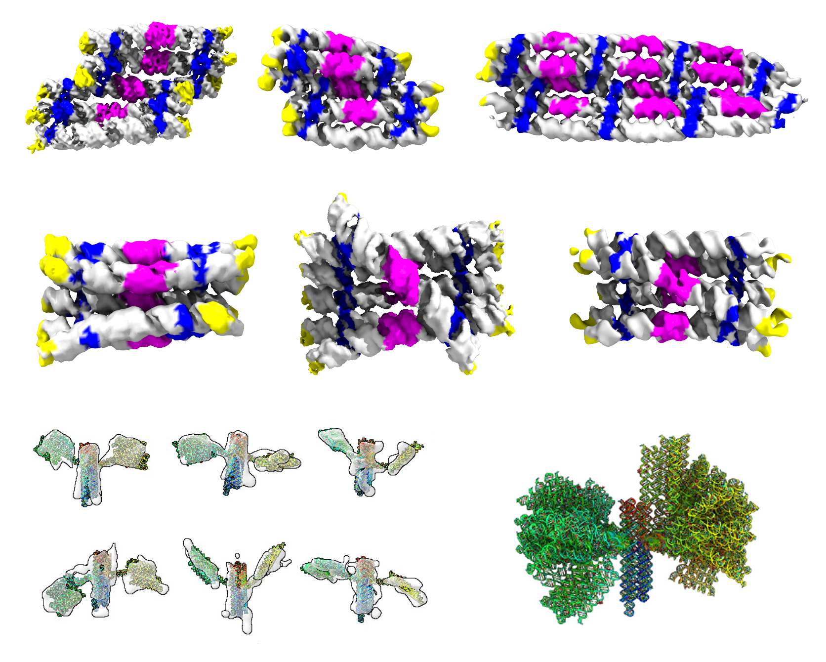 Galleri over de forskellige RNA-origami-strukturer, der blev bestemt ved kryogen-elektronmikroskopi og tomografi. De to øverste rækker viser strukturer af RNA-rektangler og cylindre farvet af RNA-motiver. Nederste række viser strukturer af nanosatellitten fra 5' til 3' ende (læseretningen for en RNA-streng).